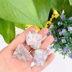 Wholesale Bulk Natural Stone Raw Crystal Rough Mineral Plum Blossom Tourmaline 200G