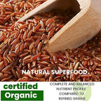 Organic Thai Red Jasmine Rice - Gluten Free - Preservative Free - Small Lot Farmed from Thailand - 2 LB