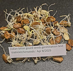 (30) Karela Indian Bitter Melon,Bitter Gourd Seeds, Balsam Pear, Ku Gua, Foo Gwah,(Kho Qua) (Treated) by Viablekitchenseeds