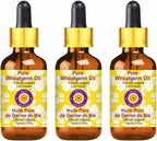 dève herbes Pure Wheatgerm Oil (Triticum vulgare) with Glass Dropper Cold Pressed (Pack of three) 100ml X 3 (10 oz)