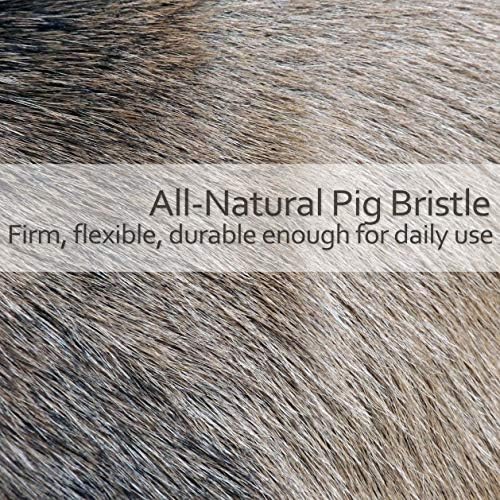 Redecker Natural Pig Bristle Furniture Dust Brush with Oiled Beechwood Handle, 7-1/2-Inches
