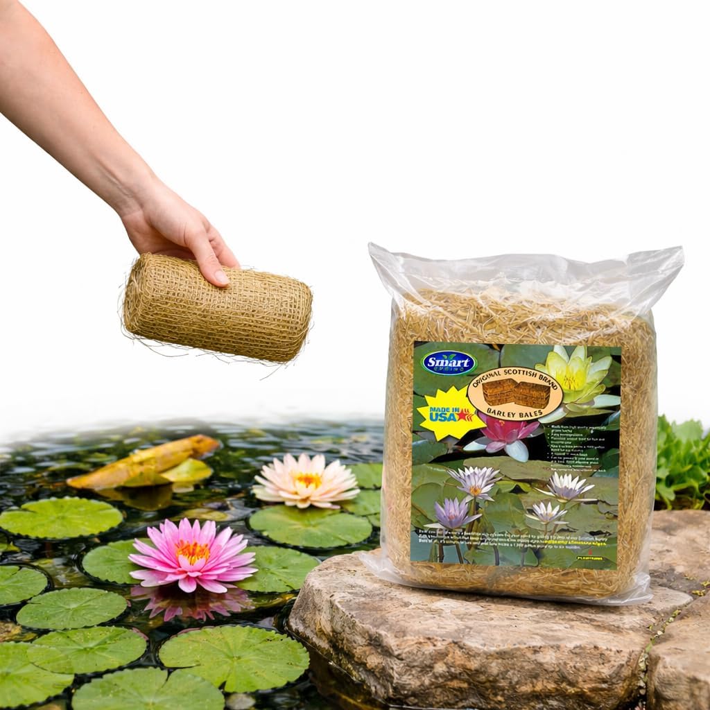 Plantabbs Clear-Water Barley Straw Bales, Pond logs 8oz Treats 1000 gallons for 6 Months (1-Pack)