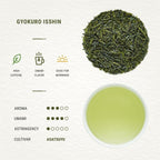 Senbird Premium Gyokuro - Japanese Shade Grown Green Tea - From Kyoto Japan - Imperial Loose Leaf Green Tea In Airtight Tea Tin (1.76oz/50g) (Isshin)