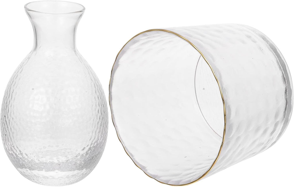 COHEALI Japanese Sake Decanter and Ice Bucket Set Glass Sake Pot with Warm and Cold Use 1pcs Japanese Style Suitable for Summer and Winter Serving Random Color