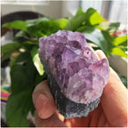 Health & Household Natural Dream Amethyst Quartz Crystal Cluster Specimen Healing