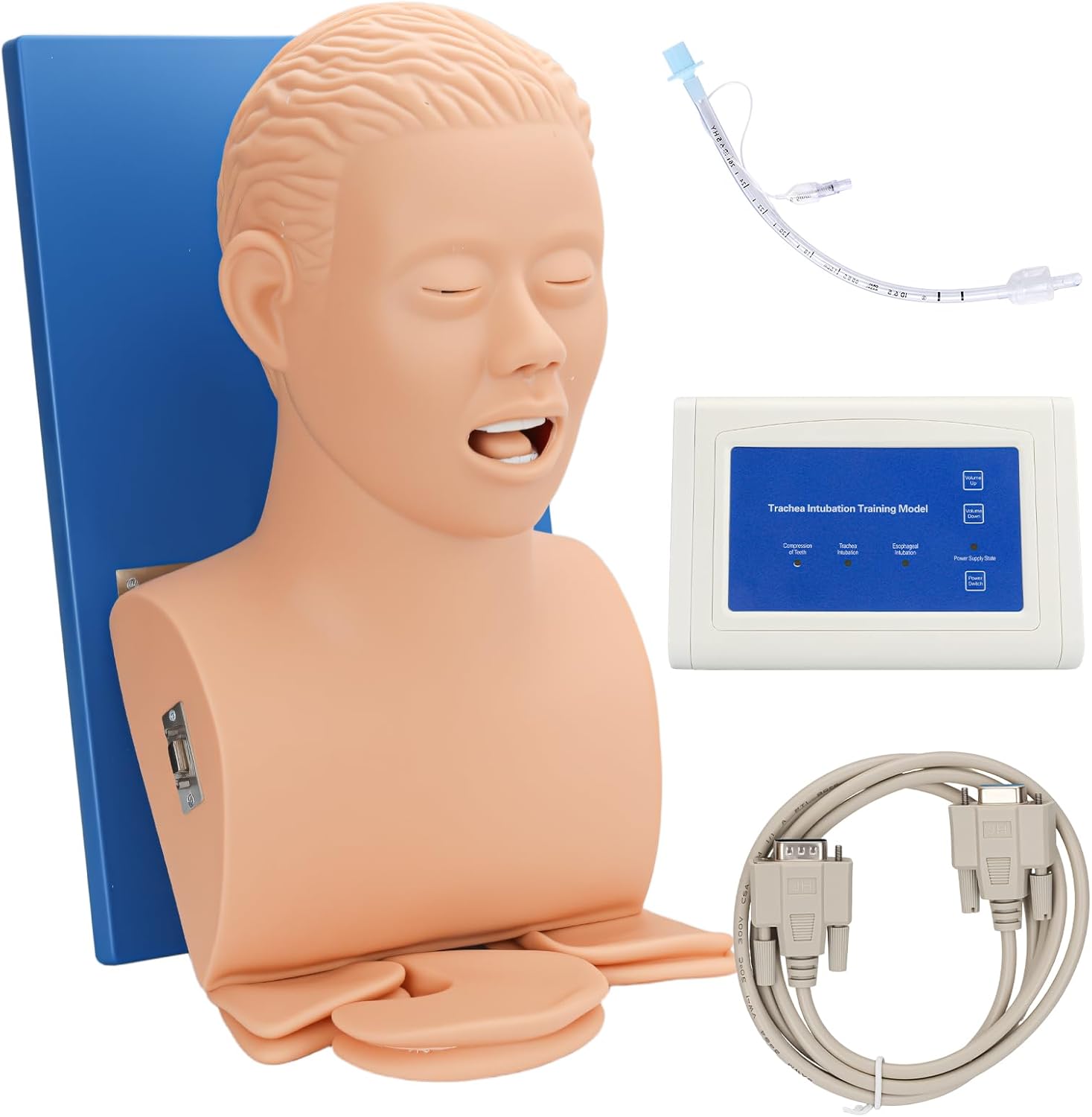 Intubation Human Model Simulator- Endotracheal Intubation Manikin Simulator, Airway Managment Trainer with Tube for Science Education/Study/Practice