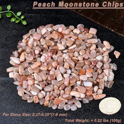 Erliway 100g Natural Peach Moonstone Crystal Chips, 7-9mm Tumbled Chips Crushed Crystal Stone, Polished Crystal Chip for Fish Tank, Healing Tumbled Crystal for Reiki Jewelry Making Home Décor