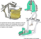 Adjustable Tooth Articulator Professional Articulator Dental Lab Equipment