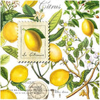 Michel Design Works Soft Triple-ply Paper Luncheon Napkins, Lemon Basil Themed, Perfect for Everday Use and Display, 20 Count