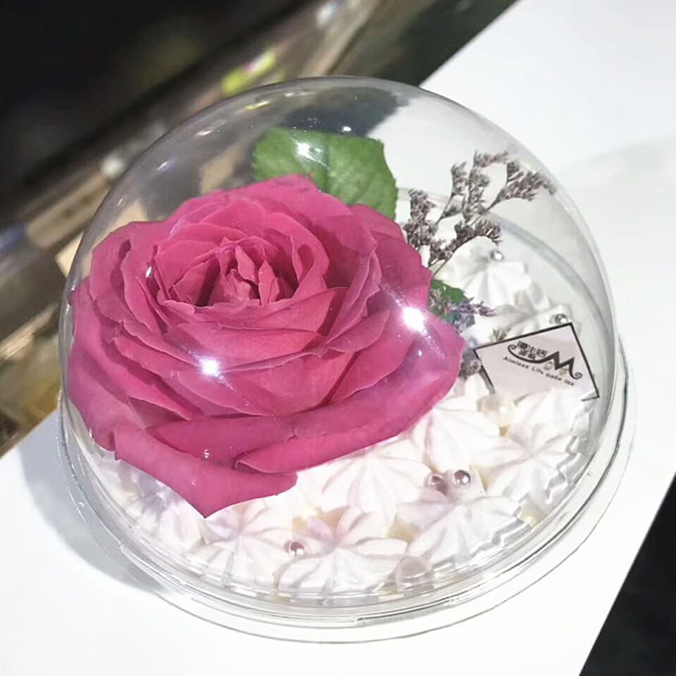 Cabilock Clear Plastic Fillable Ornaments 350ml Cupcake Box 10pcs Mousse Cake Muffin Carrier Acrylic DIY Mother's Day Party Christmas Tree Decorations Dessert Packaging Holder Bakery Food Container
