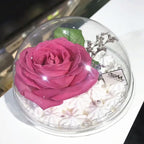 Cabilock Clear Plastic Fillable Ornaments 350ml Cupcake Box 10pcs Mousse Cake Muffin Carrier Acrylic DIY Mother's Day Party Christmas Tree Decorations Dessert Packaging Holder Bakery Food Container