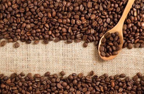 BARISTINO Espresso Whole Bean Coffee - 100% Robusta from Vietnam & Brazil - Italian Medium Roast with Rich Crema & Smooth Chocolate Finish - Strong Gourmet Coffee 2.2 lb Bag (35.2 oz)