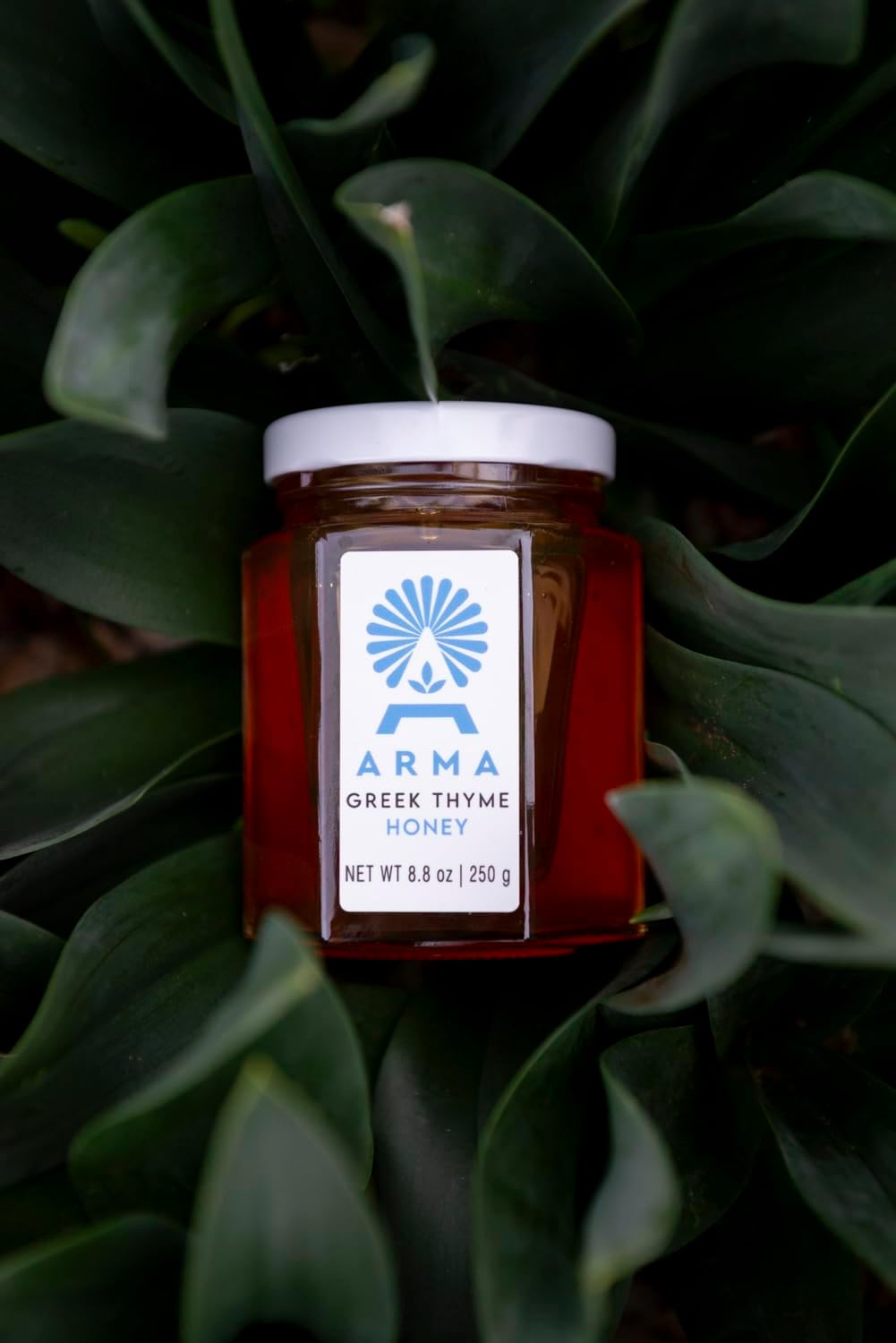 Arma Greek Thyme Honey from Crete Greece 250g (8.8 WT OZ)