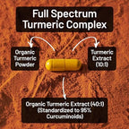 NatureWise Turmeric Curcumin Complex 3200 mg with BioPerine for Absorption - Turmeric Curcumin Supplement for Antioxidant Support - Non-GMO, Vegan, USA Manufactured - 90 Capsules[30-Day Supply]