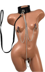 Collar with a Leash and Chains - 3 in 1 Choker Necklace for Women - Adjustable Stainless Steel Nipple Non Piercing Faux Body Jewelry Bodychain
