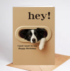 Funny Border Collie Birthday Card - Hey! I Just Want To Say Happy Birthday - Cute Dog Greeting Card For Dog Lovers- Men- Women And Kids - Humorous And Adorable Gifts Card Ideal
