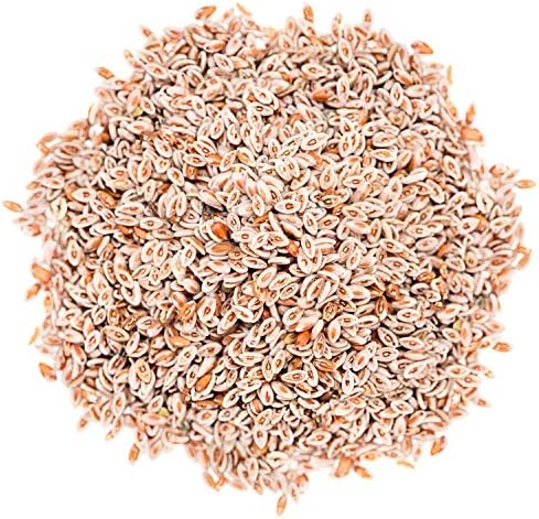 Food to Live Organic Whole Psyllium Seeds, 1 Pound - Non-GMO, Vegan, Kosher, Keto Friendly, Raw, Bulk, Natural Food Thickener, for Cooking - Add a Boost to Smoothies and Dishes