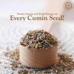 Pride of India - PACK of 6 - Cumin Seed Whole – Gourmet Indian Spice – Excellent for Culinary Uses – Fresh and Quality Seeds – Adds Flavor & Aroma - Easy to Store – 8 oz. Medium Dual Sifter Bottle