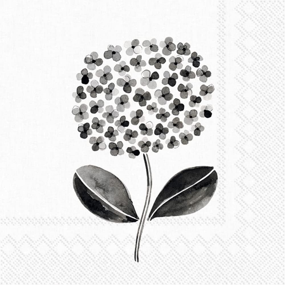 Boston International IHR 3-Ply Paper Napkins, 20-Count Cocktail Size, All About Black & White