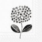 Boston International IHR 3-Ply Paper Napkins, 20-Count Cocktail Size, All About Black & White