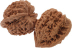 Gatuida 2pcs Walnut Hand for Fitness and Massage Traditional Hand Exercise Equipment for Relief Easy to Clean Compact Design and Muscle Flexibility