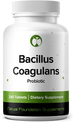 Natural Foundation Supplements Bacillus Coagulans Probiotic Supplement 240 Tablets 3 Billion CFU Probiotics for Men & Women Supports Intestinal Digestive & Gut Health (240, Bacillus Coagulans)
