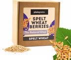 PlainGrains. The Natural Way | 2.5 LB Dry Spelt Wheat Berries | 14.5% Protein by Volume | Uncooked, Unground, Whole Grain | Single Box