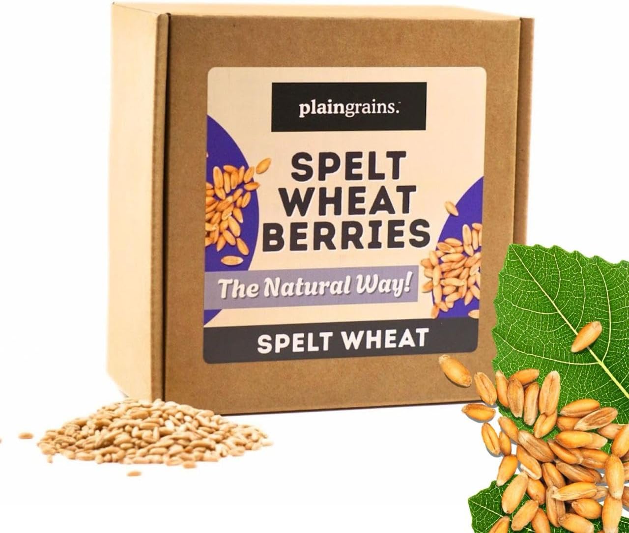 PlainGrains. The Natural Way | 2.5 LB Dry Spelt Wheat Berries | 14.5% Protein by Volume | Uncooked, Unground, Whole Grain | Single Box