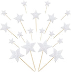 24 PCS Double-sided Silver Star Cupcake Toppers Glitter Twinkle Star Cupcake Picks Silver Cake Decorations for Wedding New Year Birthday Party Supplies (Mixed Size)