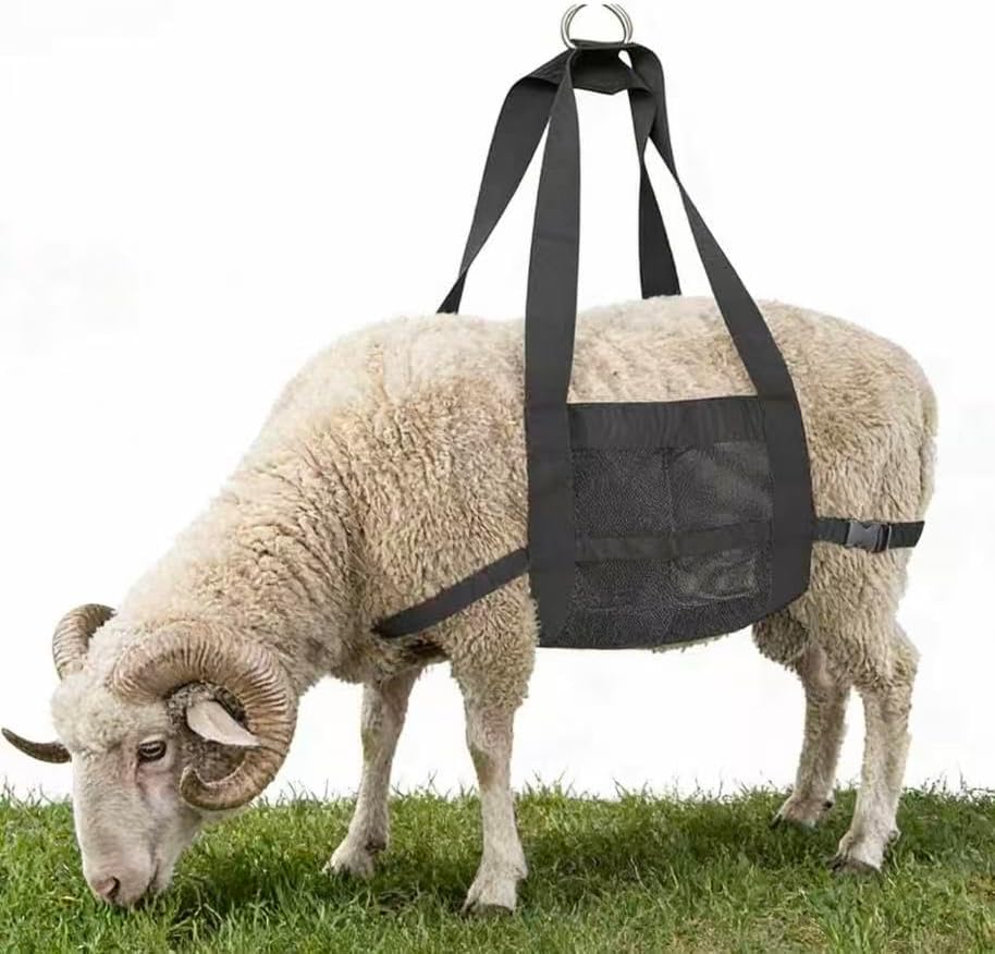 xxikhhhhikxx。Calf Sling for Weighing Animals - Adjustable Straps - Animal Carrier Sling - Baby Scales for Calves, Lambs, Goats, Alpacas.