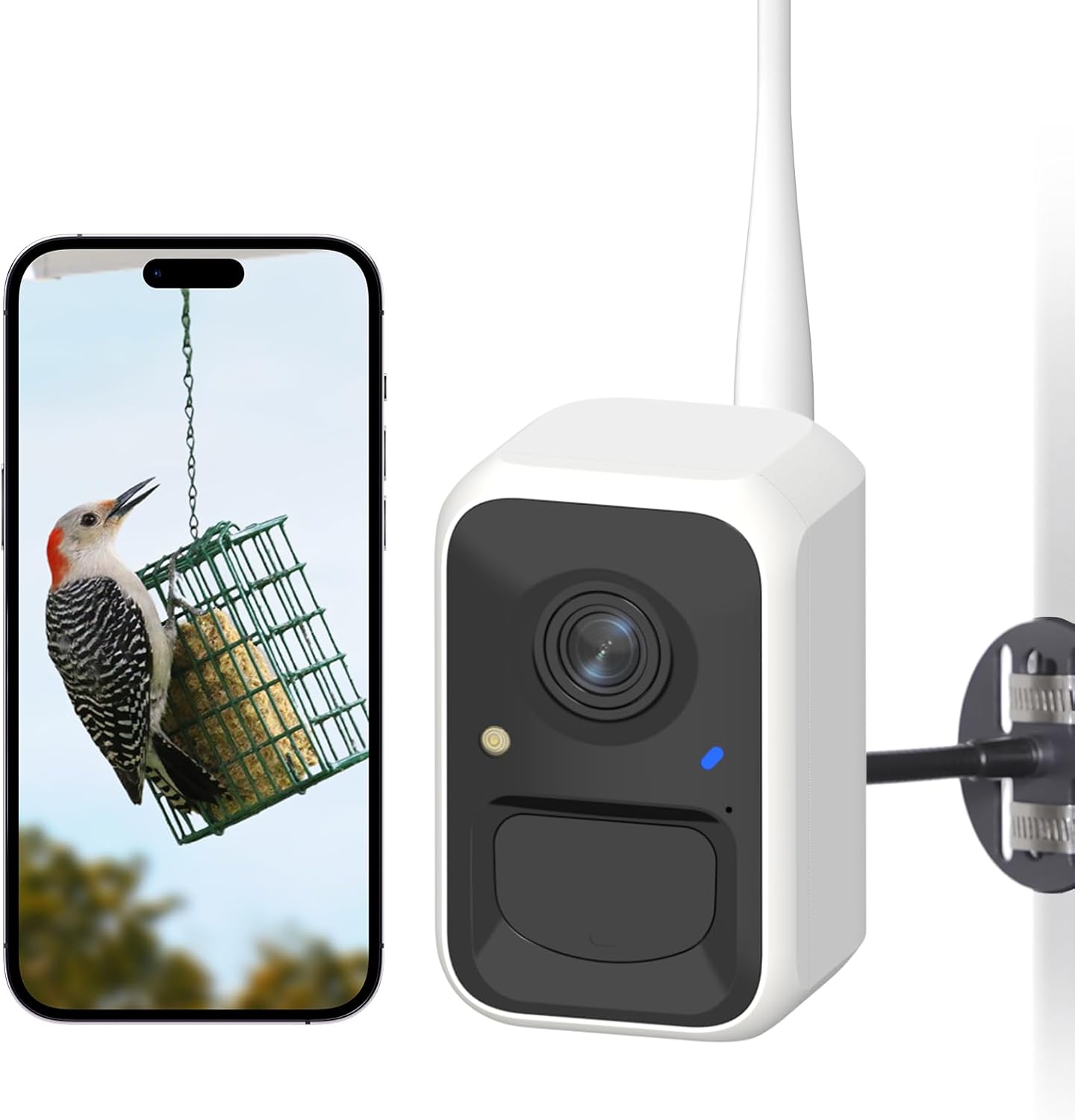 NETVUE by Birdfy Smart Bird Feeder Camera, Adjustable Brackets, Auto Bird Video Capture, Instant Notifications, AI Identify 6000+ Species