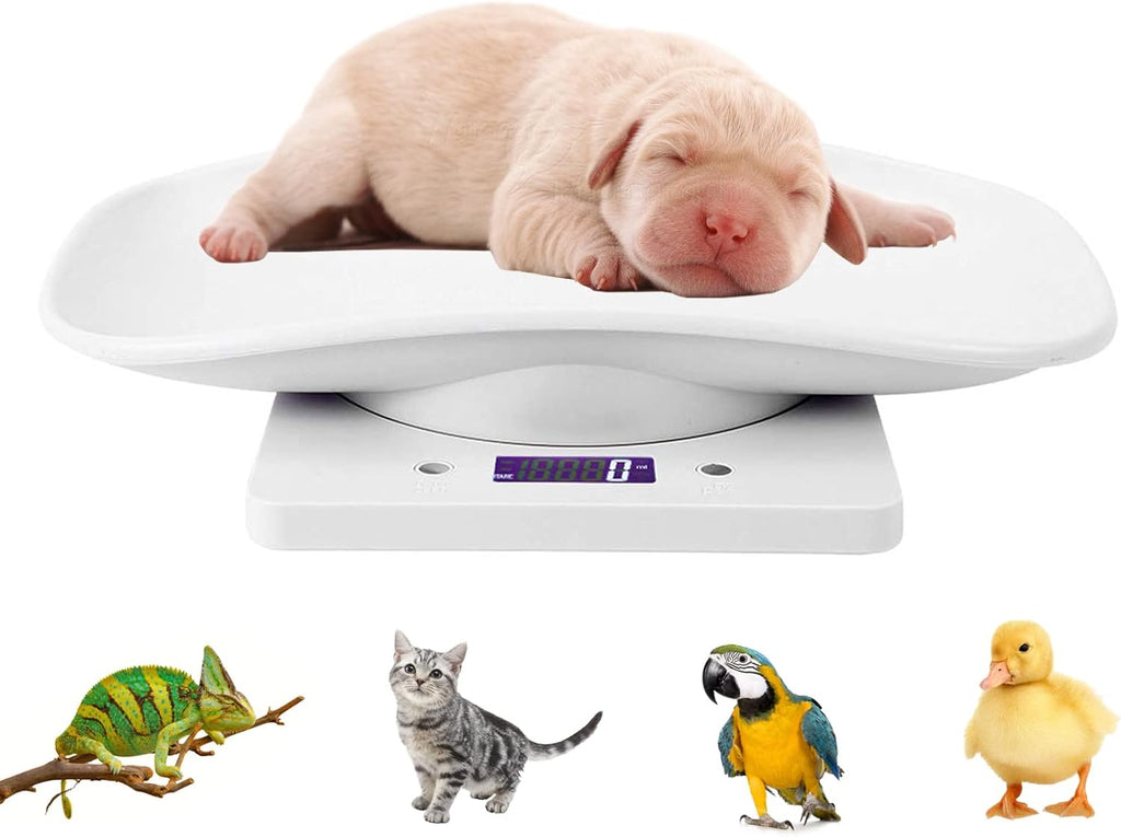 Digital Pet Scale, Portable LCD Electronic Weighing Scale with Tray(Max. 33 lbs), Small Animal Weight Scale, Multifunction Kitchen Scale for Food/Lizard/Puppy/Kitten/Hamster/Whelping