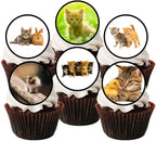 Kittens Edible Cupcake Toppers, Cat Birthday Decorations for Cakes and Cookies Edible Cake Decorations for Cat Birthday Party Fun - Kitty Toppers 48 x 3cm / 1.18 Inch