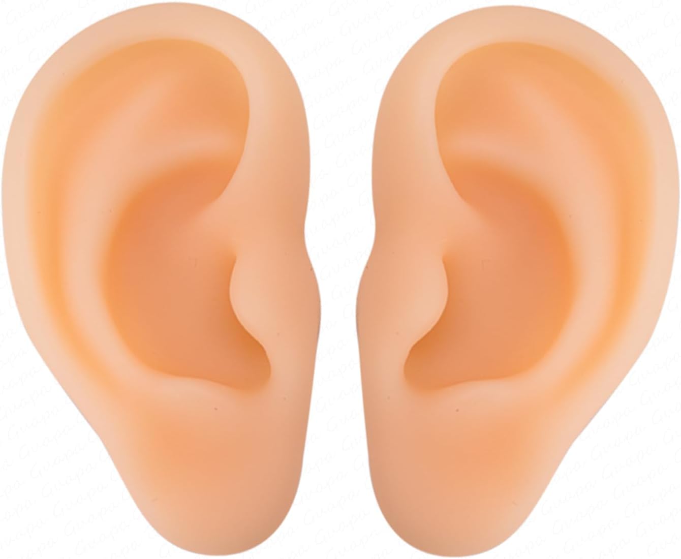 2PCS Realistic Silicone Ear Models – Soft Left & Right Fake Ears for Piercing Practice & Earring Display, Flexible Mannequin Mold for Artists & Retail Showcases (One Pair of Ear#1)