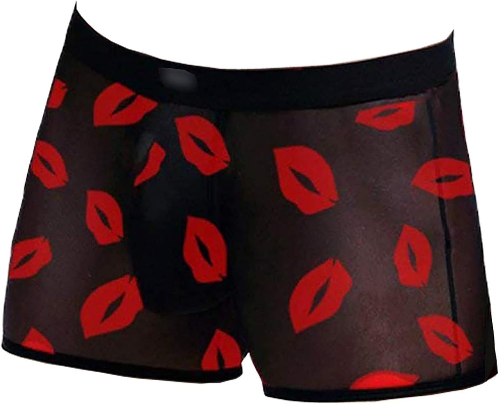 Evankin Men's Underwear Sexy Mesh Breathable Boxer Briefs Low Rise Cool Valentines Boxers Pack Set