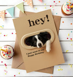Funny Border Collie Birthday Card - Hey! I Just Want To Say Happy Birthday - Cute Dog Greeting Card For Dog Lovers- Men- Women And Kids - Humorous And Adorable Gifts Card Ideal