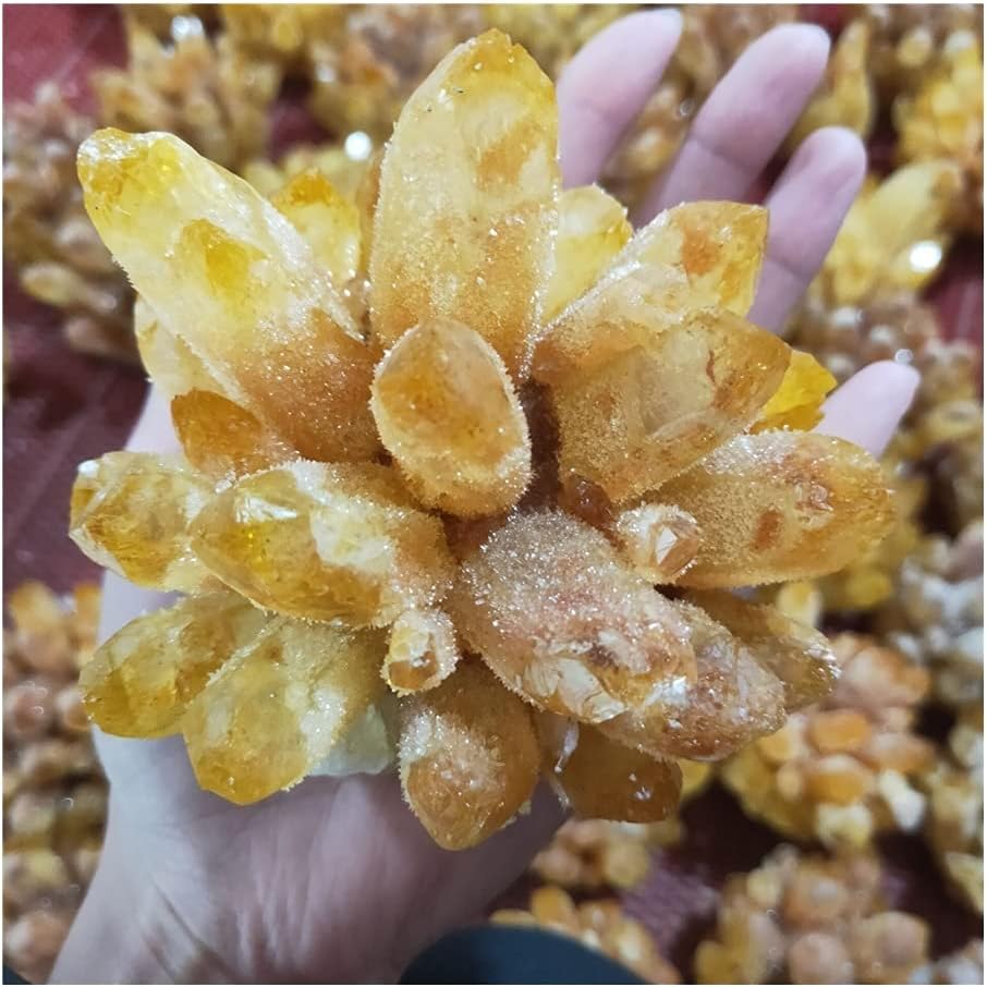 Health & Household Natural Citrine Phantom Quartz Crystal Cluster Healing Specimen (Size : 600-700g)