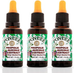 Brazilian Green Bee Propolis Extract 100% Organic, No Alcohol – High Artepillin-C Concentration, Natural Antioxidant, 30ML