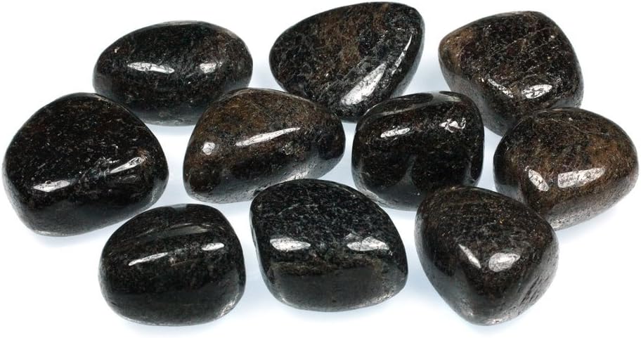 CrystalAge Red Garnet Tumble Stone (20-25mm) - Pack of 5