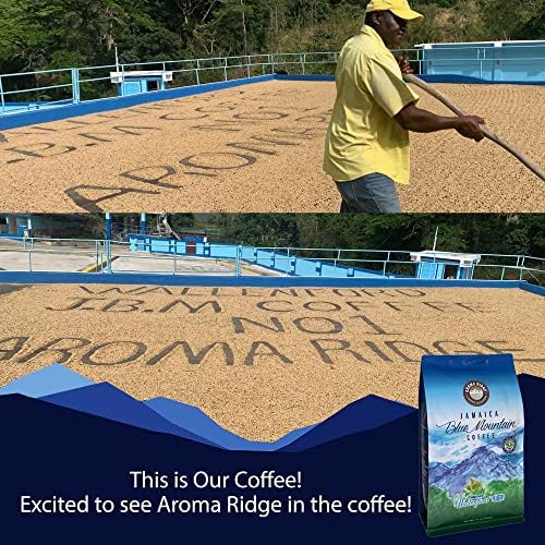 Jamaica Blue Mountain SPECIAL Peaberry Coffee | Wallenford | 1 LB Whole Bean| Medium Roasted - 100% Certified Authentic Jamaican Blue Mountain Coffee Beans Grade- Peaberry | Aroma Ridge.