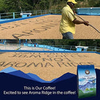 Jamaica Blue Mountain SPECIAL Peaberry Coffee | Wallenford | 1 LB Whole Bean| Medium Roasted - 100% Certified Authentic Jamaican Blue Mountain Coffee Beans Grade- Peaberry | Aroma Ridge.