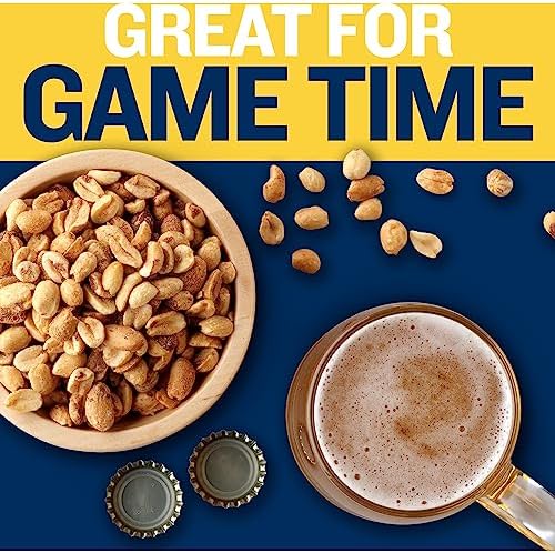 PLANTERS Salted Peanuts, Dry Roasted Peanuts, Party Snacks, Plant Based Protein, Snacks For Adults, 16oz (1 Jar)