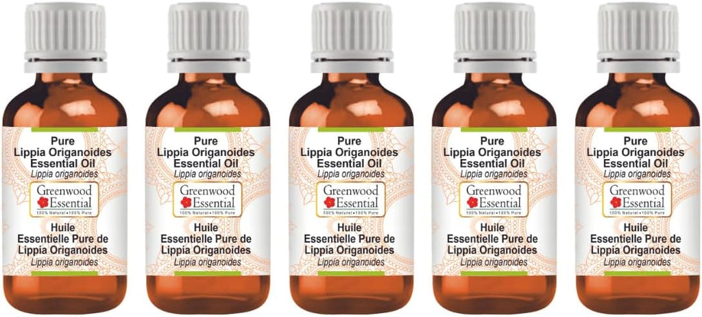 Greenwood Essential Pure Lippia Origanoides Essential Oil (Lippia origanoides) Steam Distilled (Pack of Five) 100ml X 5(16.9 oz)