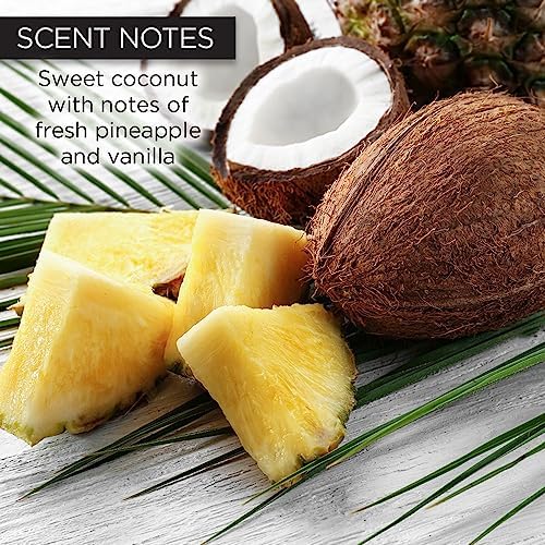 Whish Beauty Body Butter for Women - Moisturizing Body Lotion for Dry Skin - Antioxidant-Rich with Shea Butter, Aloe, & Raspberry Butter - Paraben & Sulfate Free - Coconut - 5 fl oz