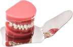 Dental Orthodontic Photography Mirror Oral Mirrors Teeth Stainless Steel Reflector(A)
