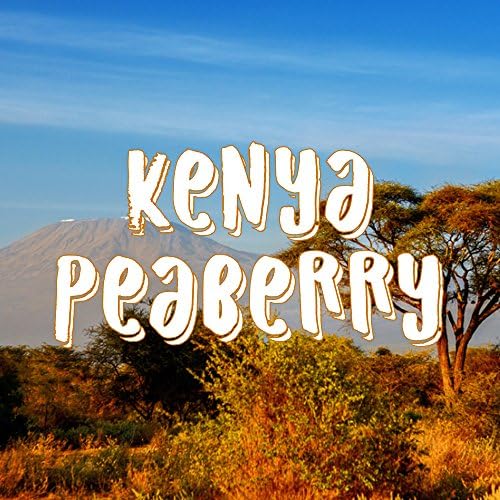 Kenya Peaberry Coffee, Whole Bean, Gourmet Coffee Beans, Single Origin, Fresh Roasted, 5 lbs