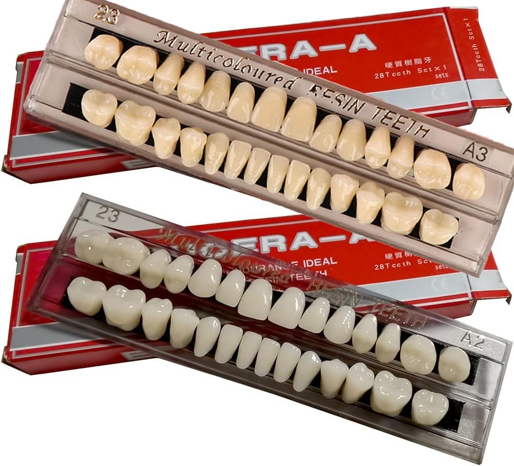 56 Pcs False Teeth Dental Complete Acrylic Resin Denture Teeth, 2 Set Whole Teeth Synthetic Polymer Denture Tooth, 23 Shade A2 and A3 Upper + Lower Dental Materials for Replacement, DIY, or Halloween