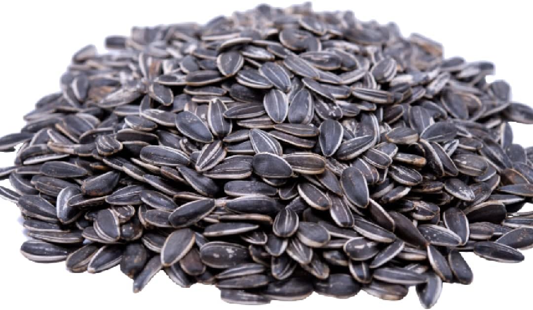 Gerbs Roasted Unsalted Whole Sunflower Seeds 1 lb. | Small Batch, No Artificial Additives, Resealable Bag | Crack-and-Eat Crunchy Snack | Top 14 Allergen-Free
