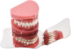 Dental Orthodontic Photography Mirror Oral Mirrors Teeth Stainless Steel Reflector(B)