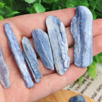 Acxico 1Pcs 200g Rough Blue Kyanite Blades Raw Pieces Crystals